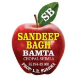 green and beige vintage product logo (2)